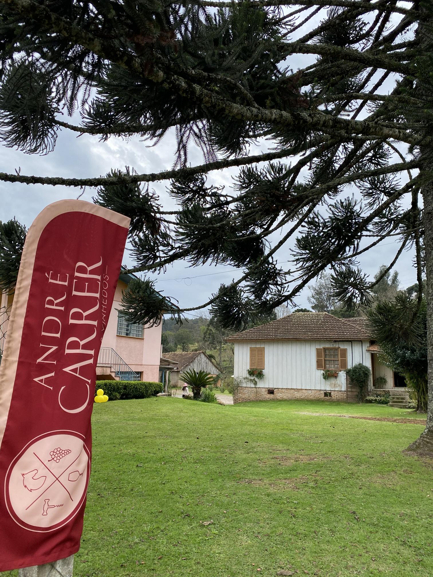 André Carrer Vinhos & Vinhedos – Serra Gaúcha