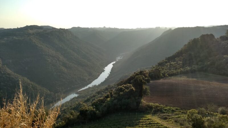 Adega Dom Camilo – Nova Pádua