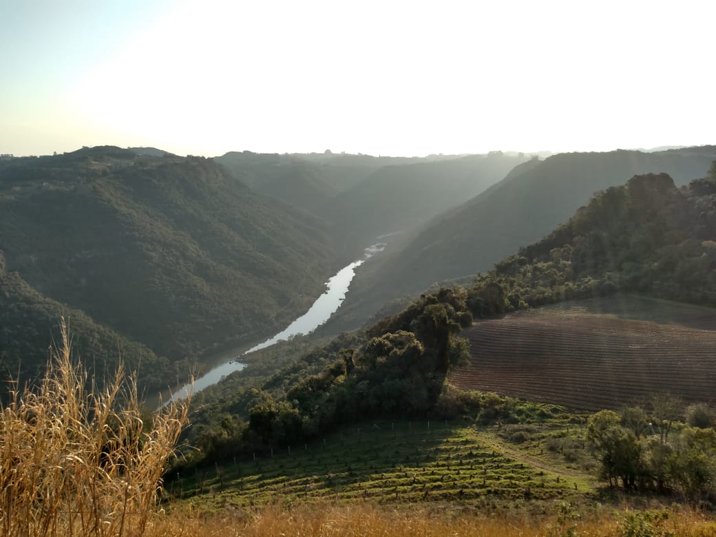 Adega Dom Camilo – Nova Pádua