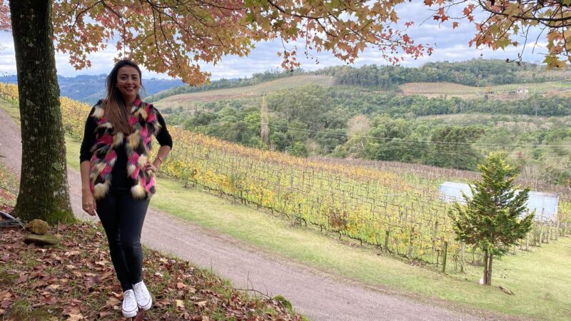 Pizzato Vinhas e Vinhos – Vale dos Vinhedos