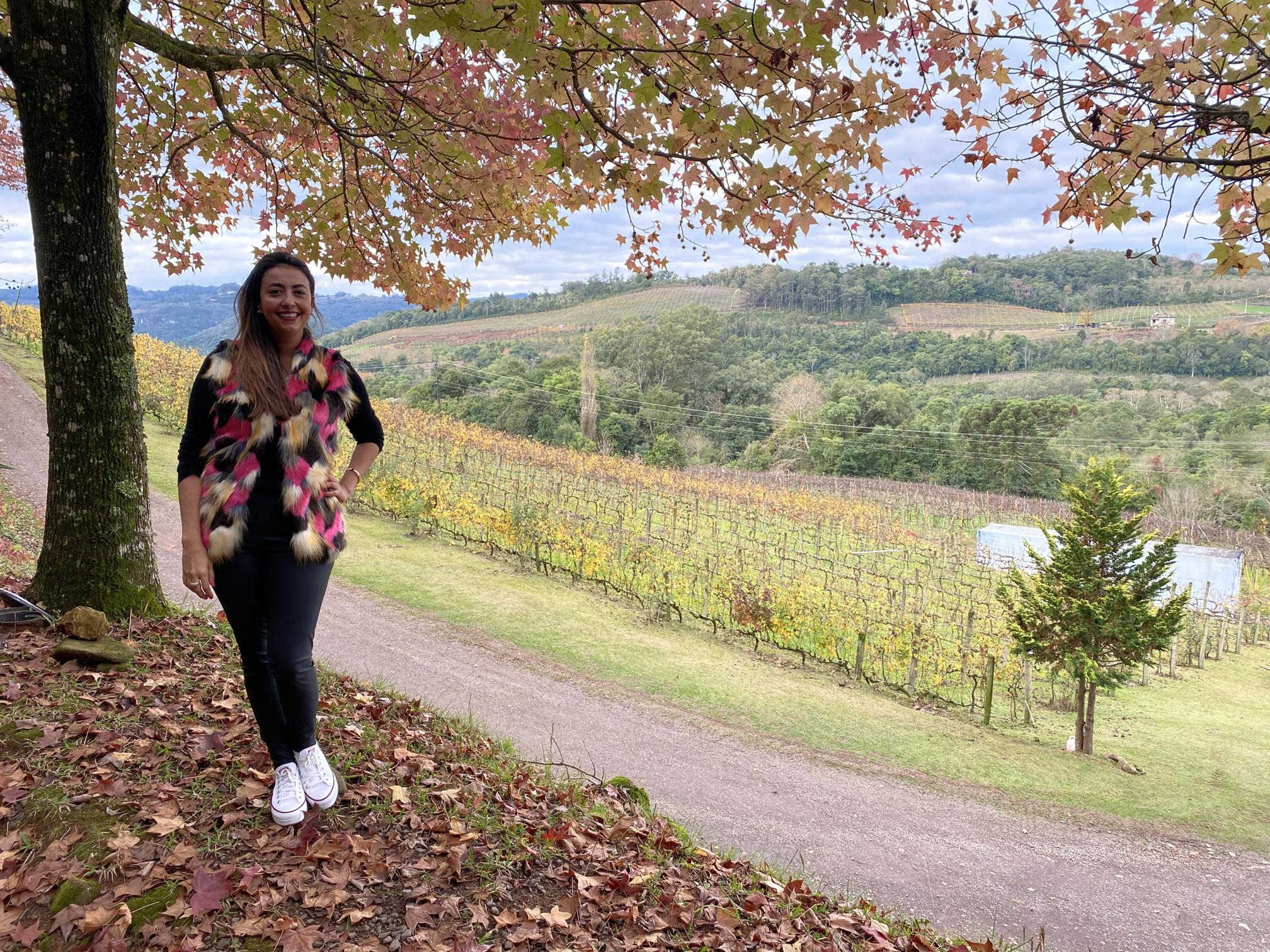 Pizzato Vinhas e Vinhos – Vale dos Vinhedos