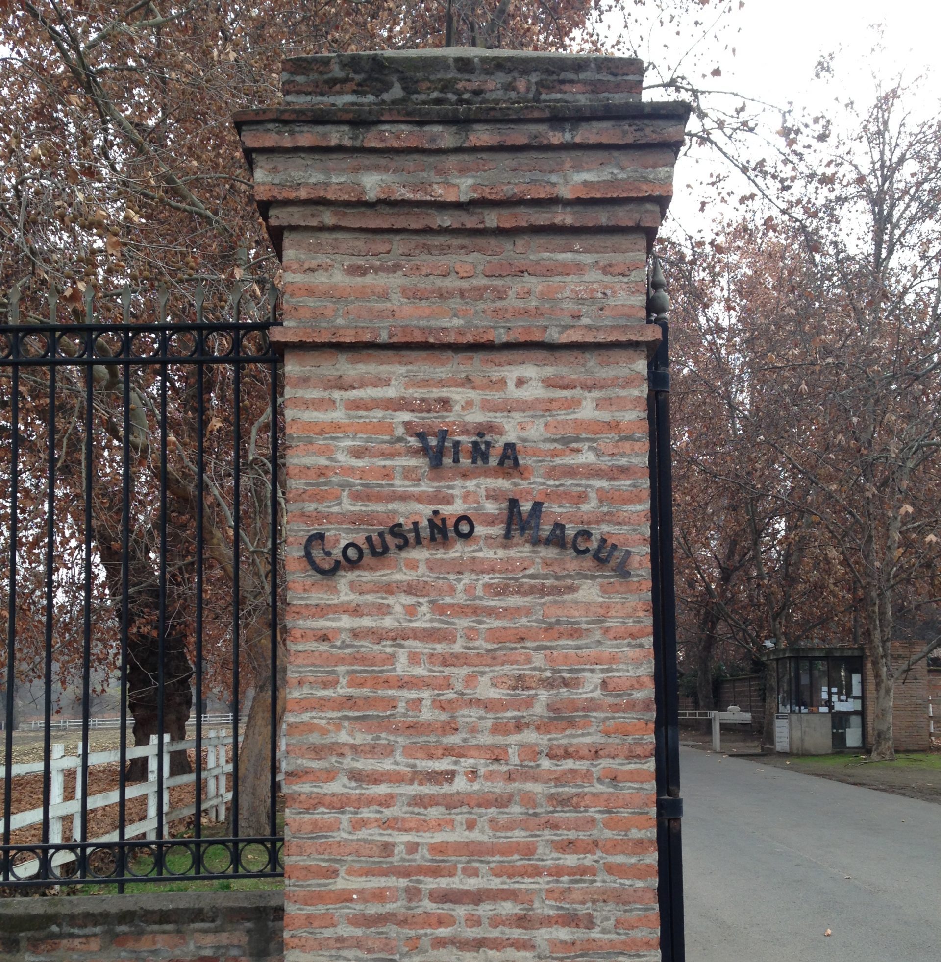 Viña Cousiño-Macul – Valle del Maipo