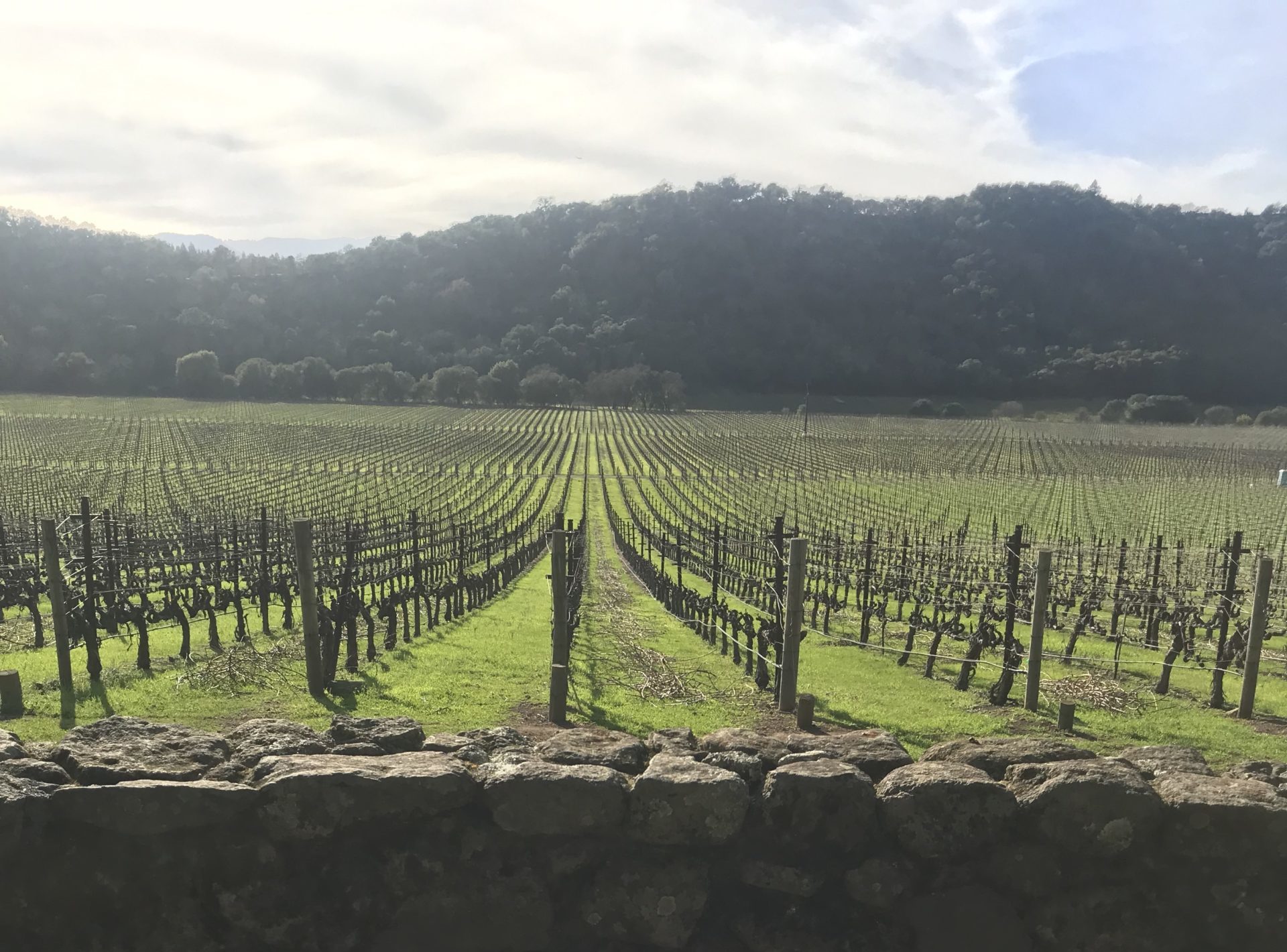 Stags’ Leap Winery – Napa Valley