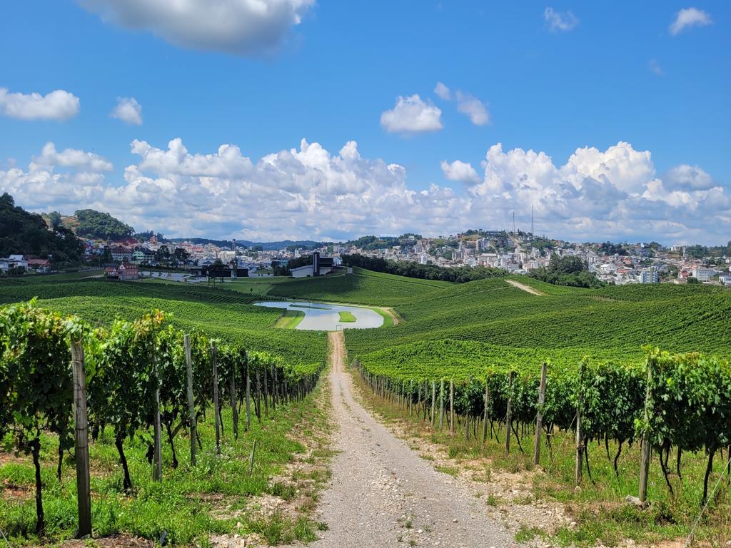 Luiz Argenta – Altos Montes