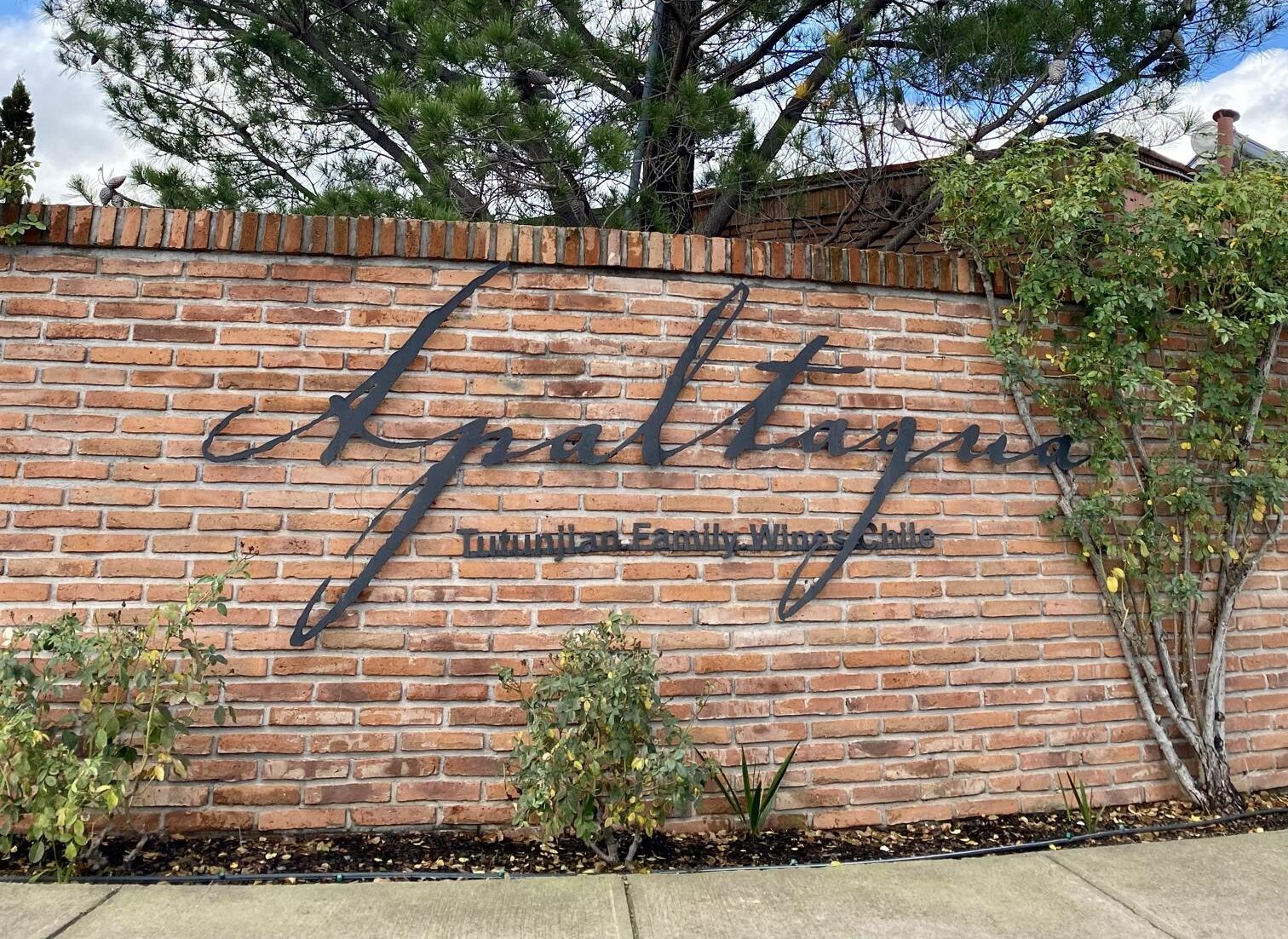 Viña Apaltagua – Valle de Colchagua