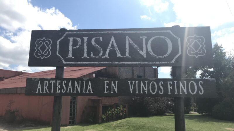 Bodega Pisano – Uruguai