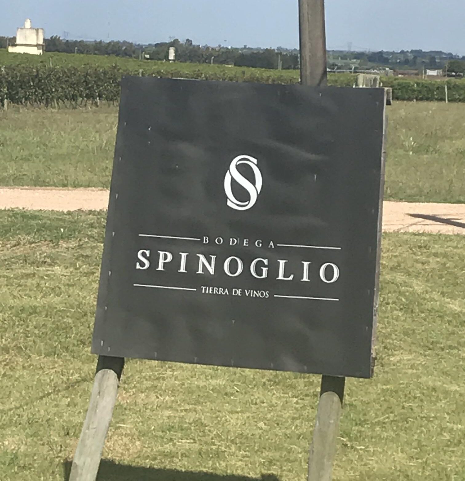 Bodega Spinoglio – Uruguai