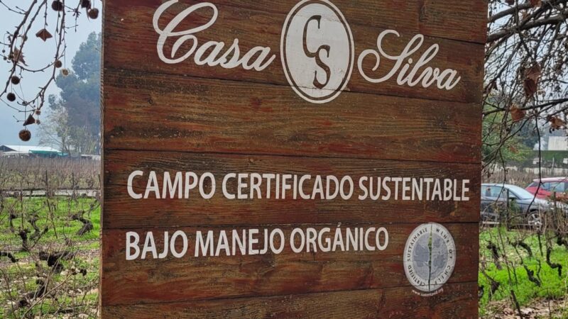 Viña Casa Silva – Valle de Colchagua