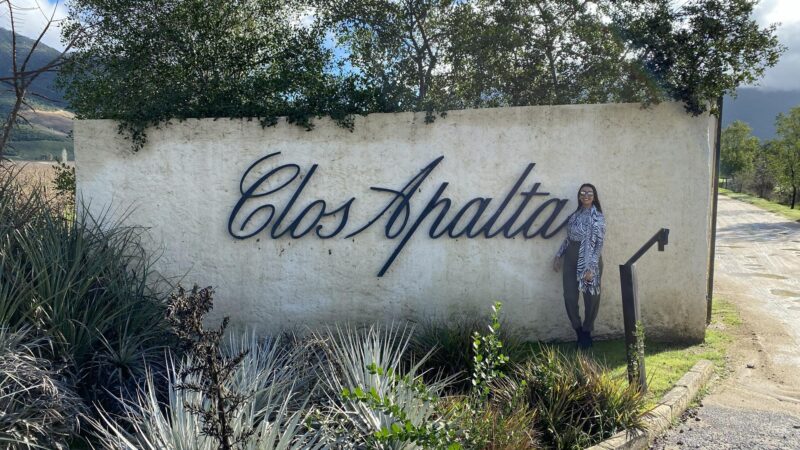 Clos Apalta – Valle de Colchagua