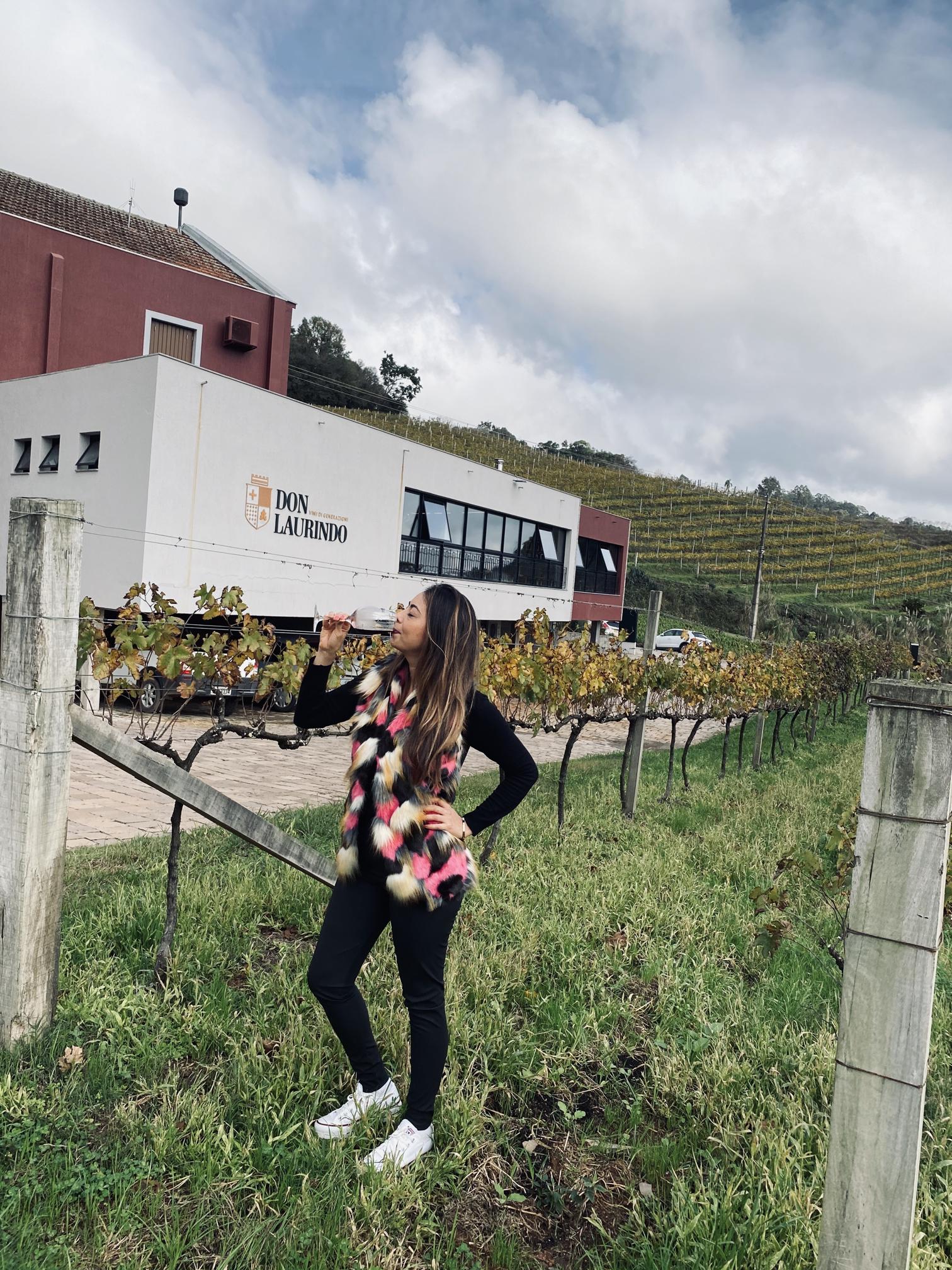 Don Laurindo – Vale dos Vinhedos