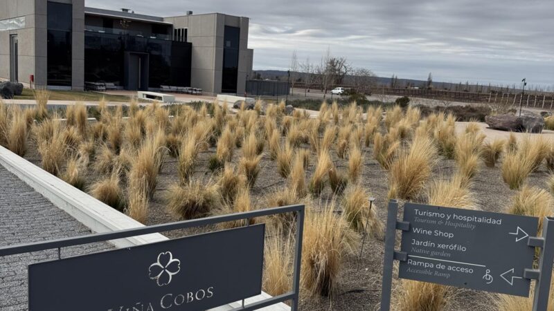 Viña Cobos – Luján de Cuyo