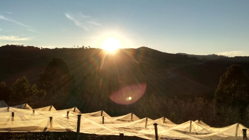 Monte Agudo – São Joaquim