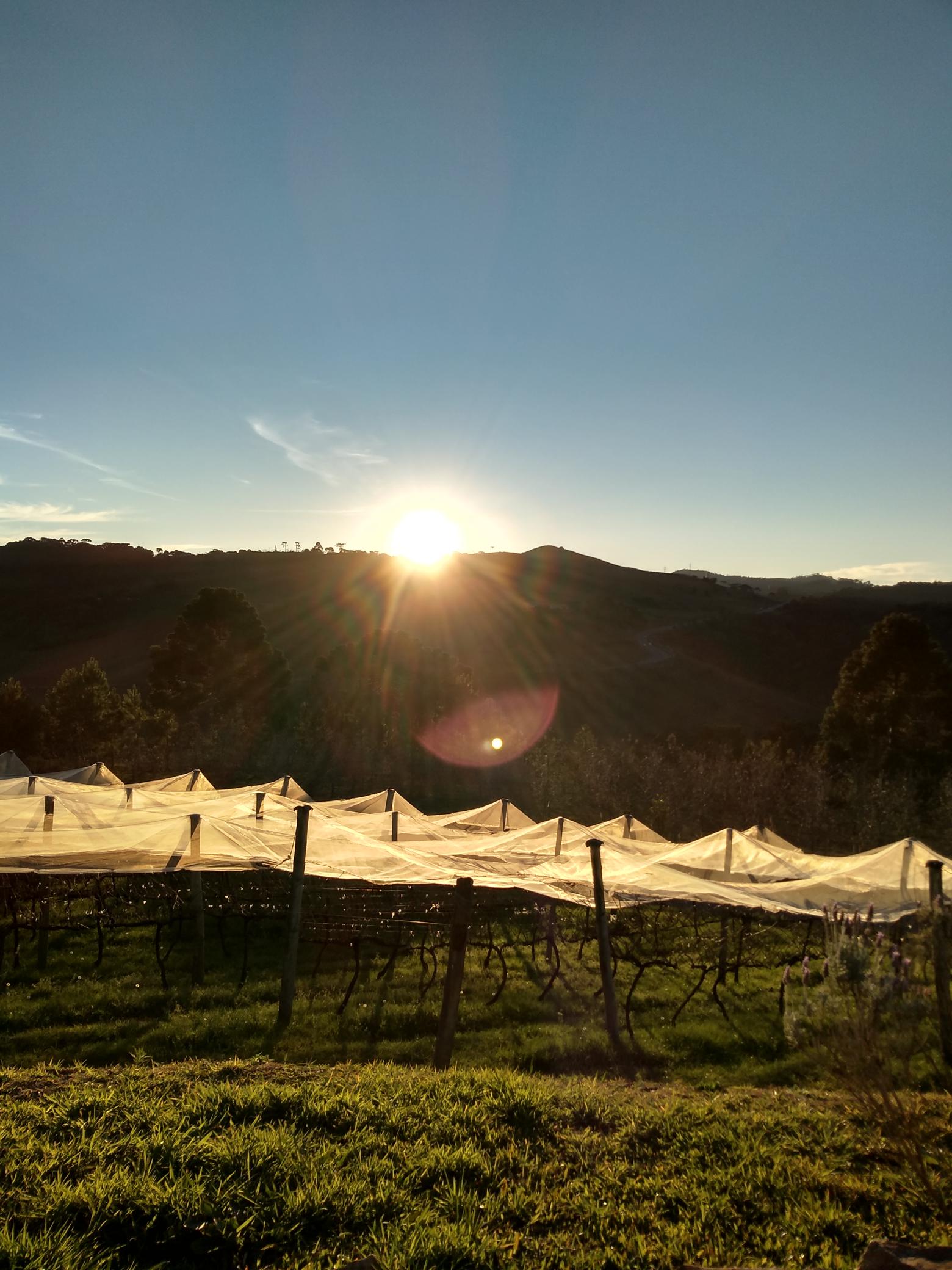 Monte Agudo – São Joaquim