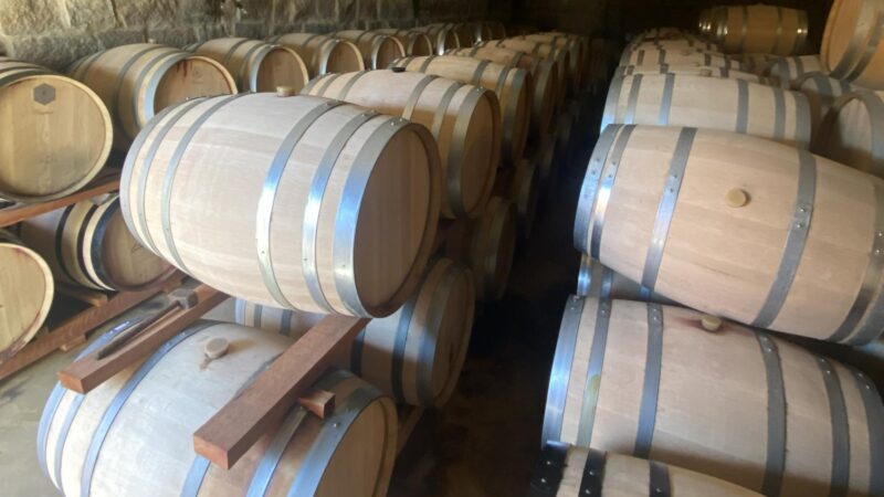 Terra Nossa – Espírito Santo do Pinhal