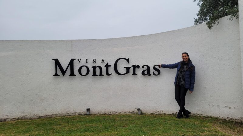 Viña MontGras – Valle de Colchagua