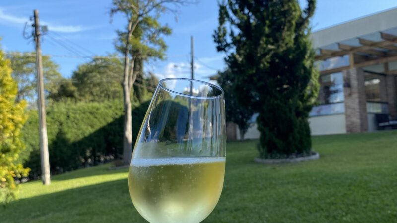 Vinícola Franco Italiano – Paraná