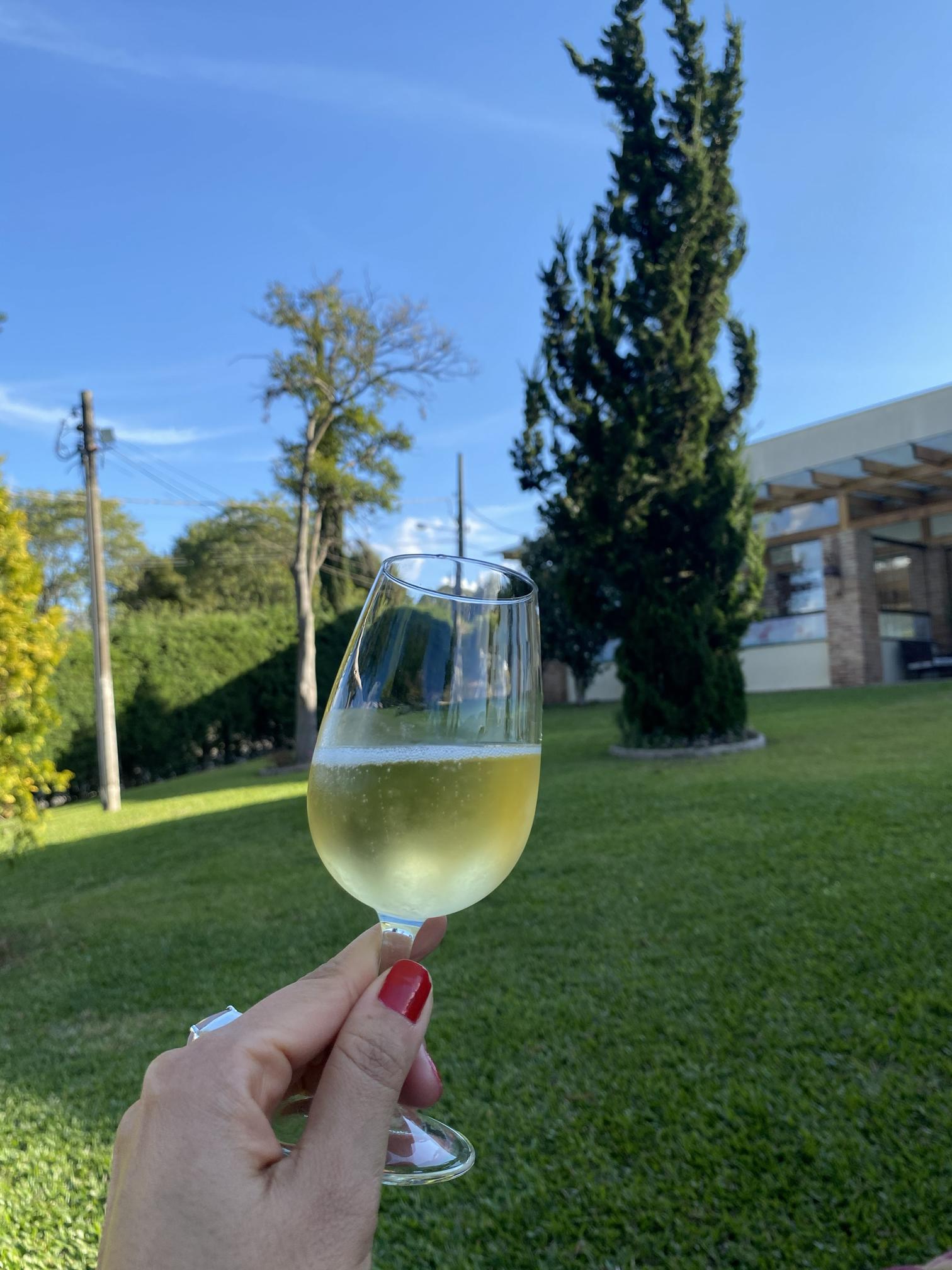 Vinícola Franco Italiano – Paraná