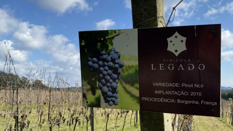 Vinícola Legado – Paraná