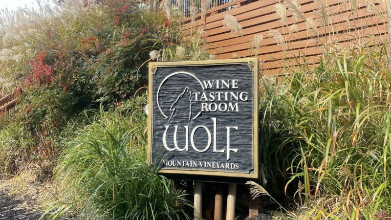 Wolf Mountain Vineyards & Winery – Georgia