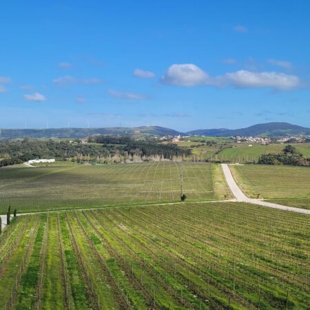 AdegaMãe – Lisboa