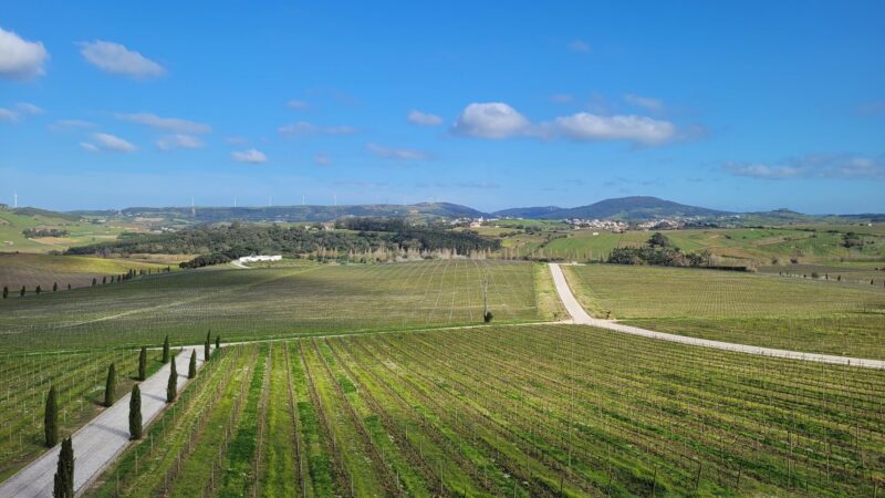 AdegaMãe – Lisboa