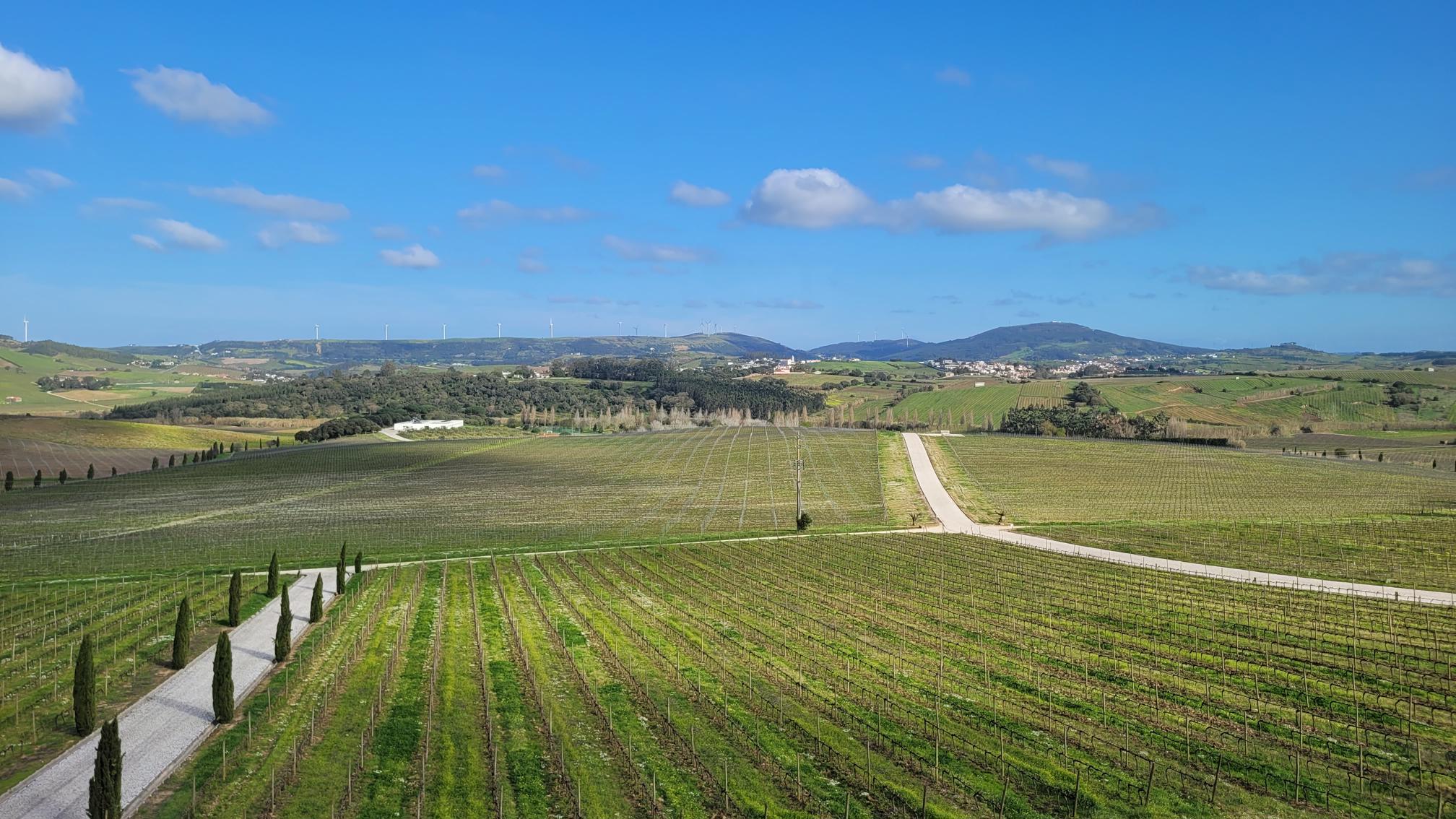 AdegaMãe – Lisboa