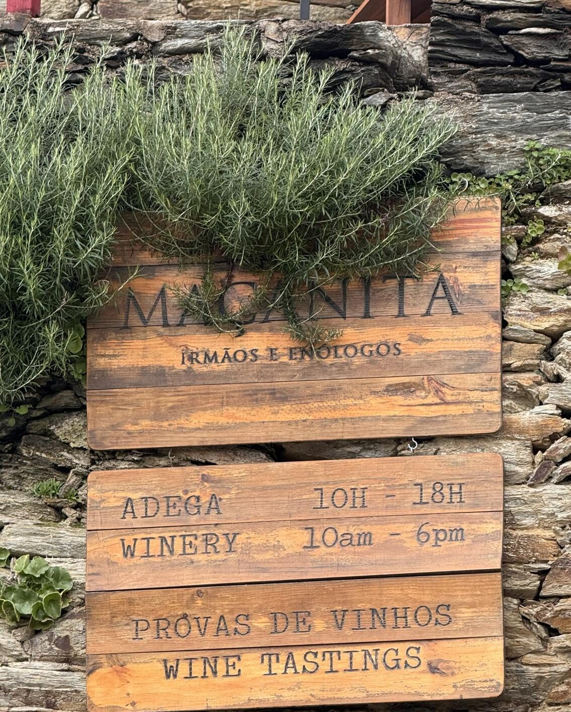 Maçanita Vinhos – Douro