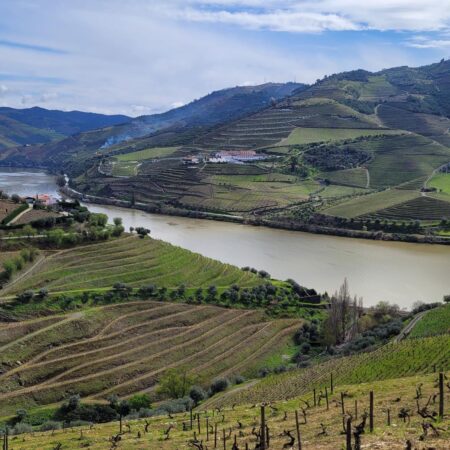Quinta do Crasto – Douro