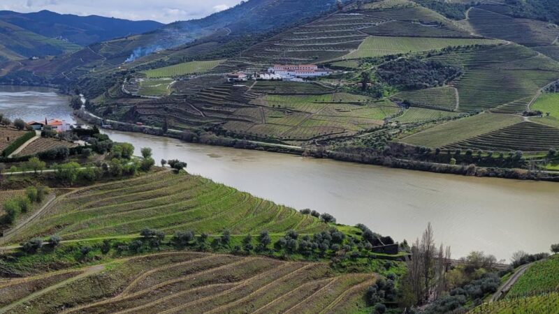 Quinta do Crasto – Douro