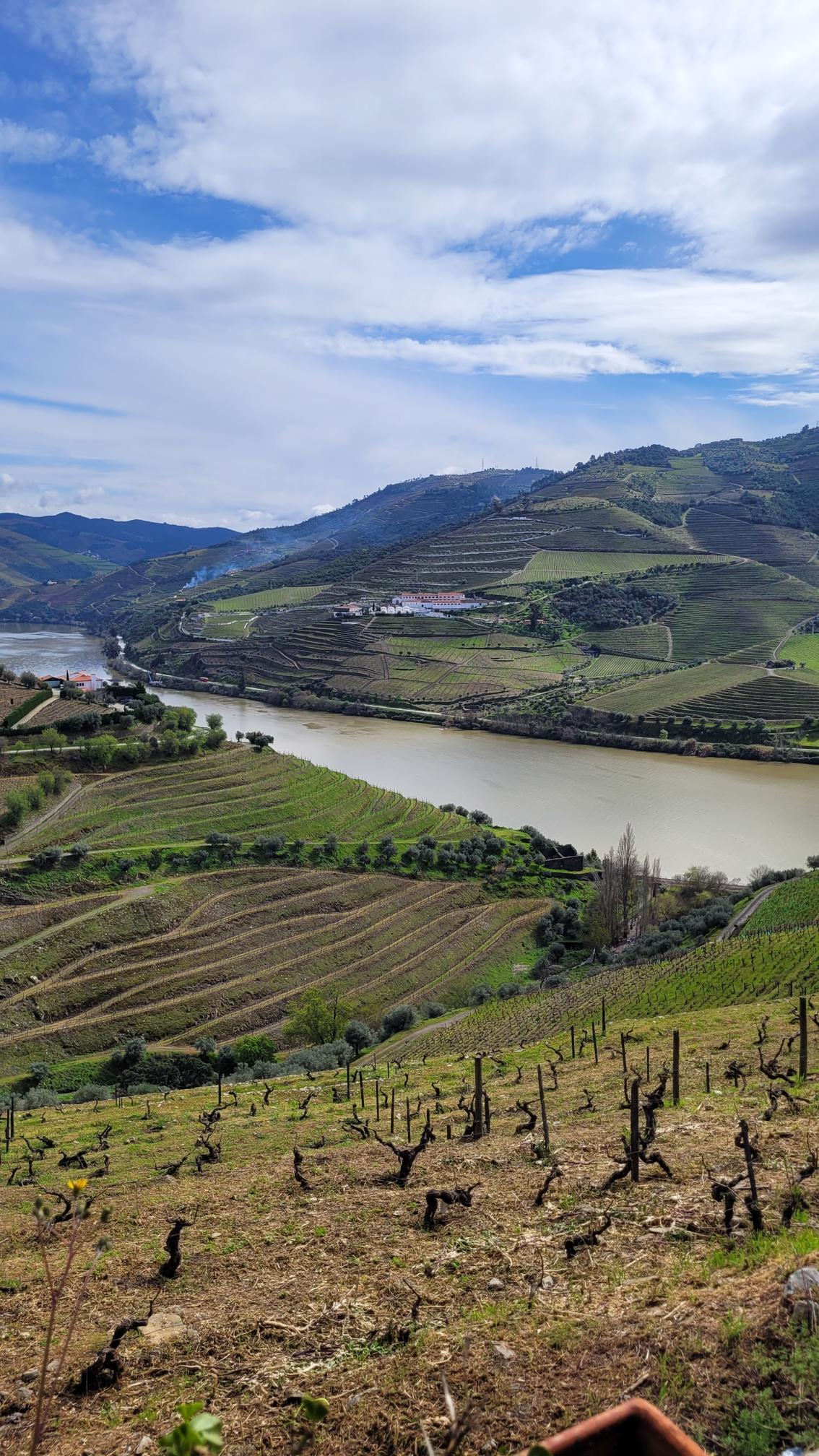 Quinta do Crasto – Douro