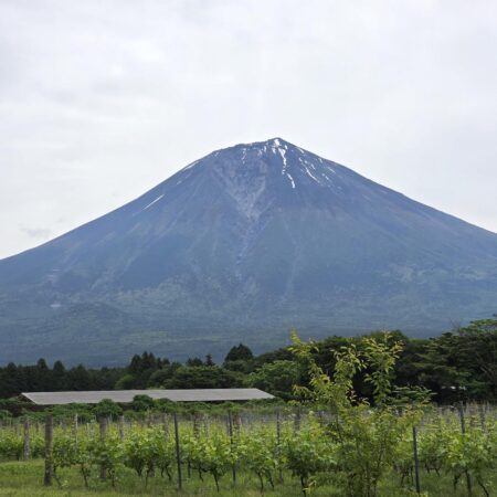Fujisan Winery – Japão
