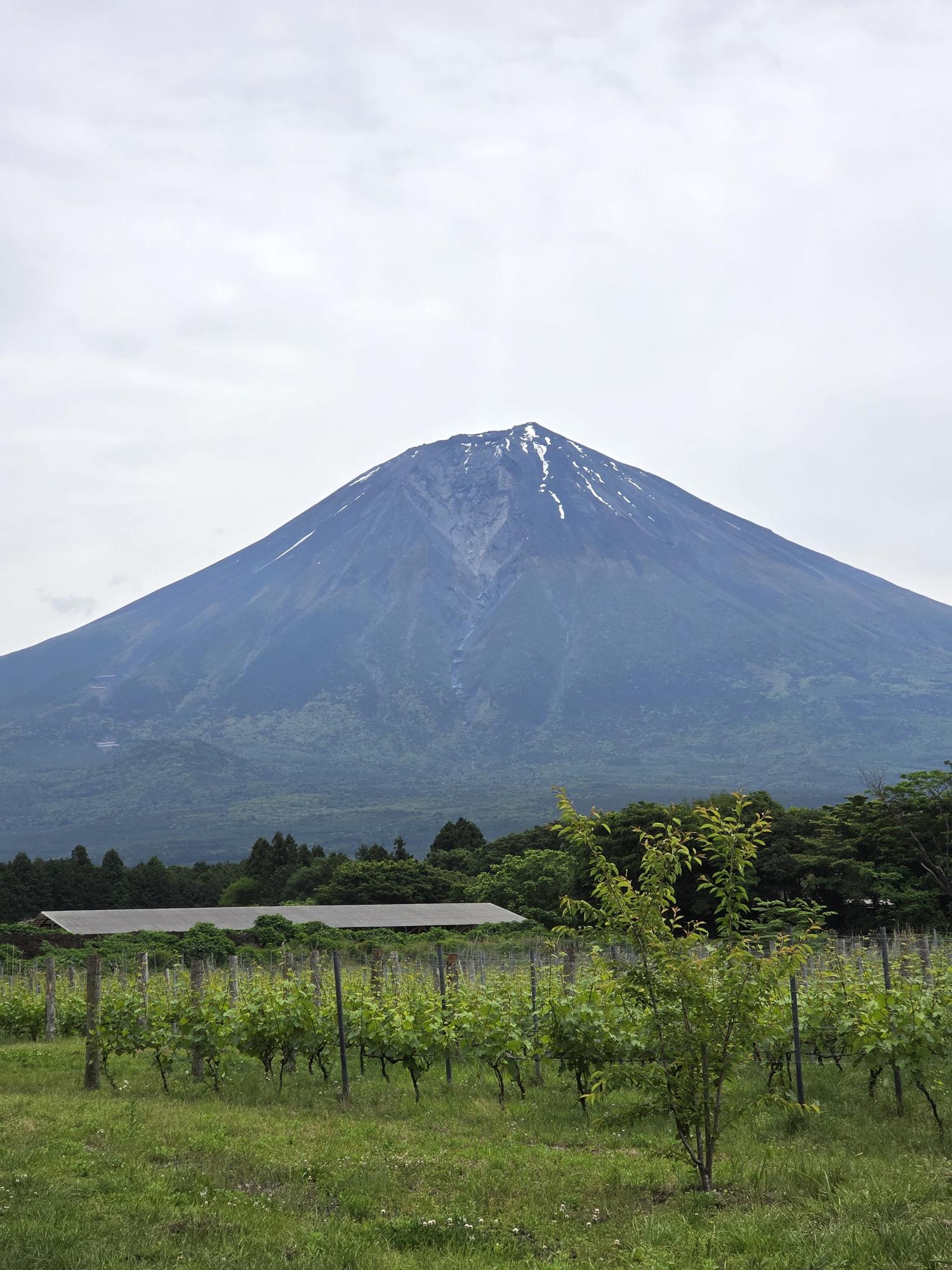 Fujisan Winery – Japão