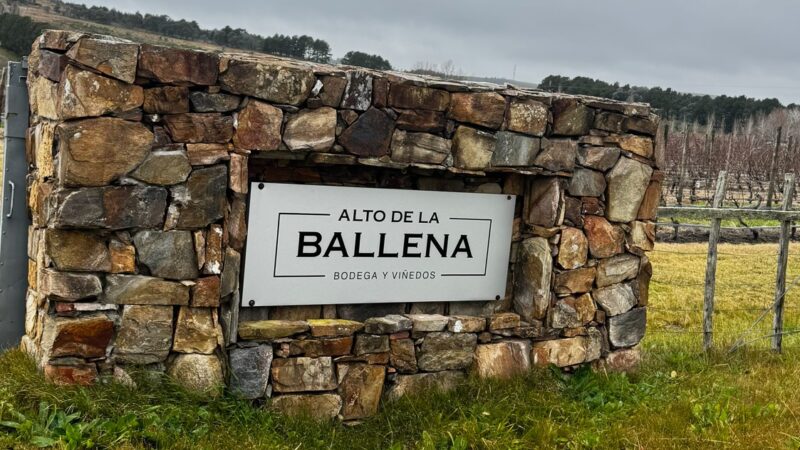 Bodega Alto de la Ballena – Uruguai