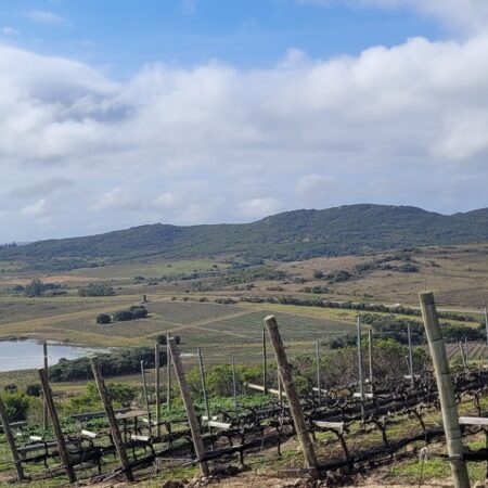 Bodega Cerro del Toro – Uruguai