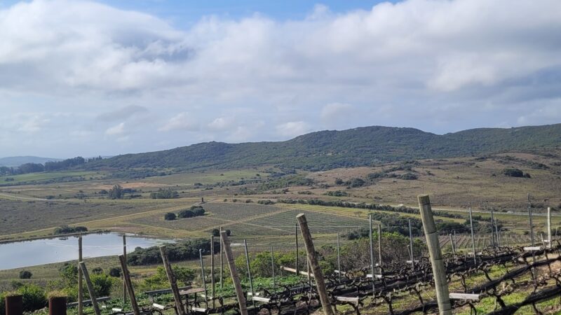 Bodega Cerro del Toro – Uruguai
