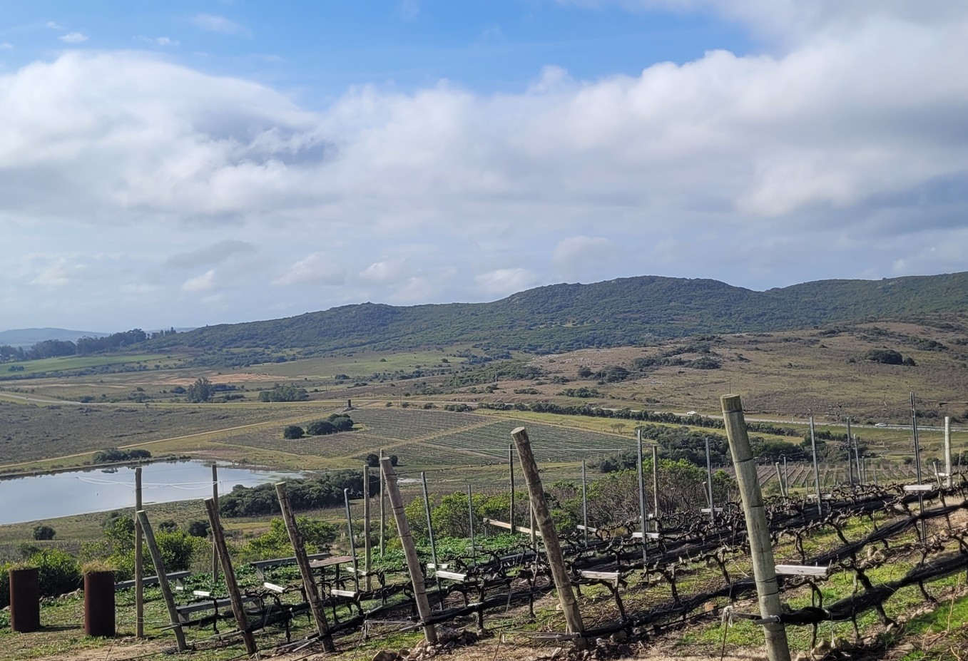 Bodega Cerro del Toro – Uruguai